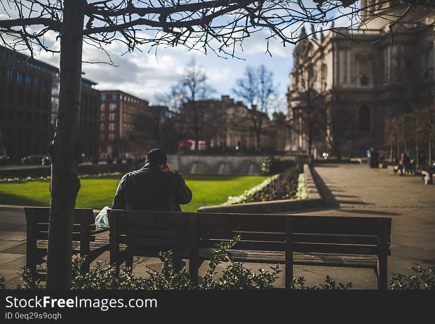 Man Sitting on Brown Wooden Bench during Daytime