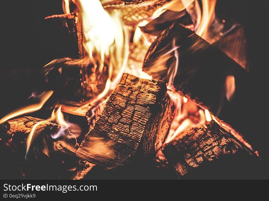 Focus Photography of a Ignited Firewood