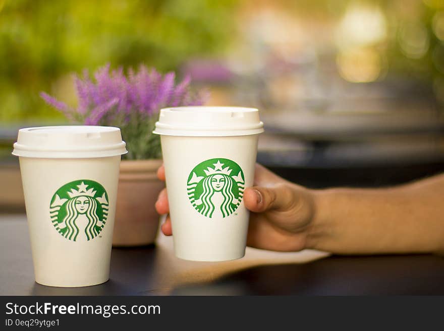 Hand holding disposable paper Starbucks coffee cup outdoors on sunny day. Hand holding disposable paper Starbucks coffee cup outdoors on sunny day.