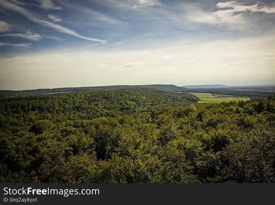 Aerial Photography of Green Trees