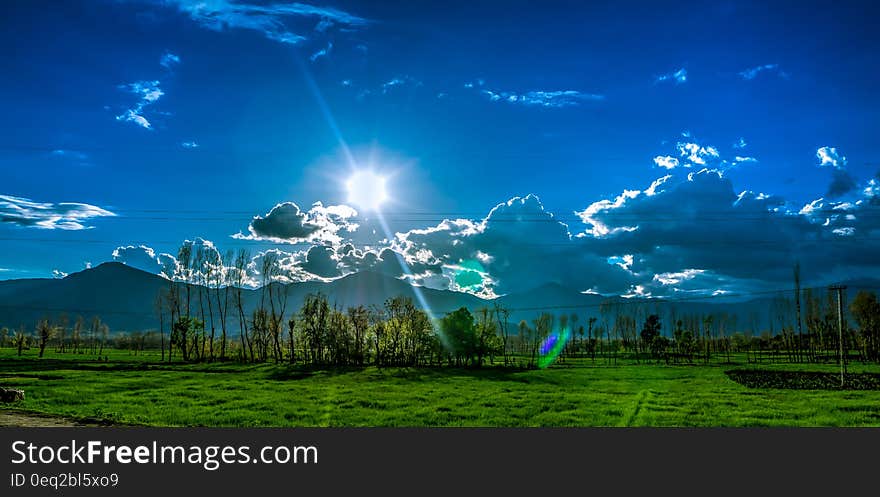 Trees and Grass Field Under Cloudy Sky during Daytime