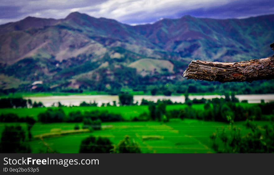 Landscape Photography of Mountains and Trees