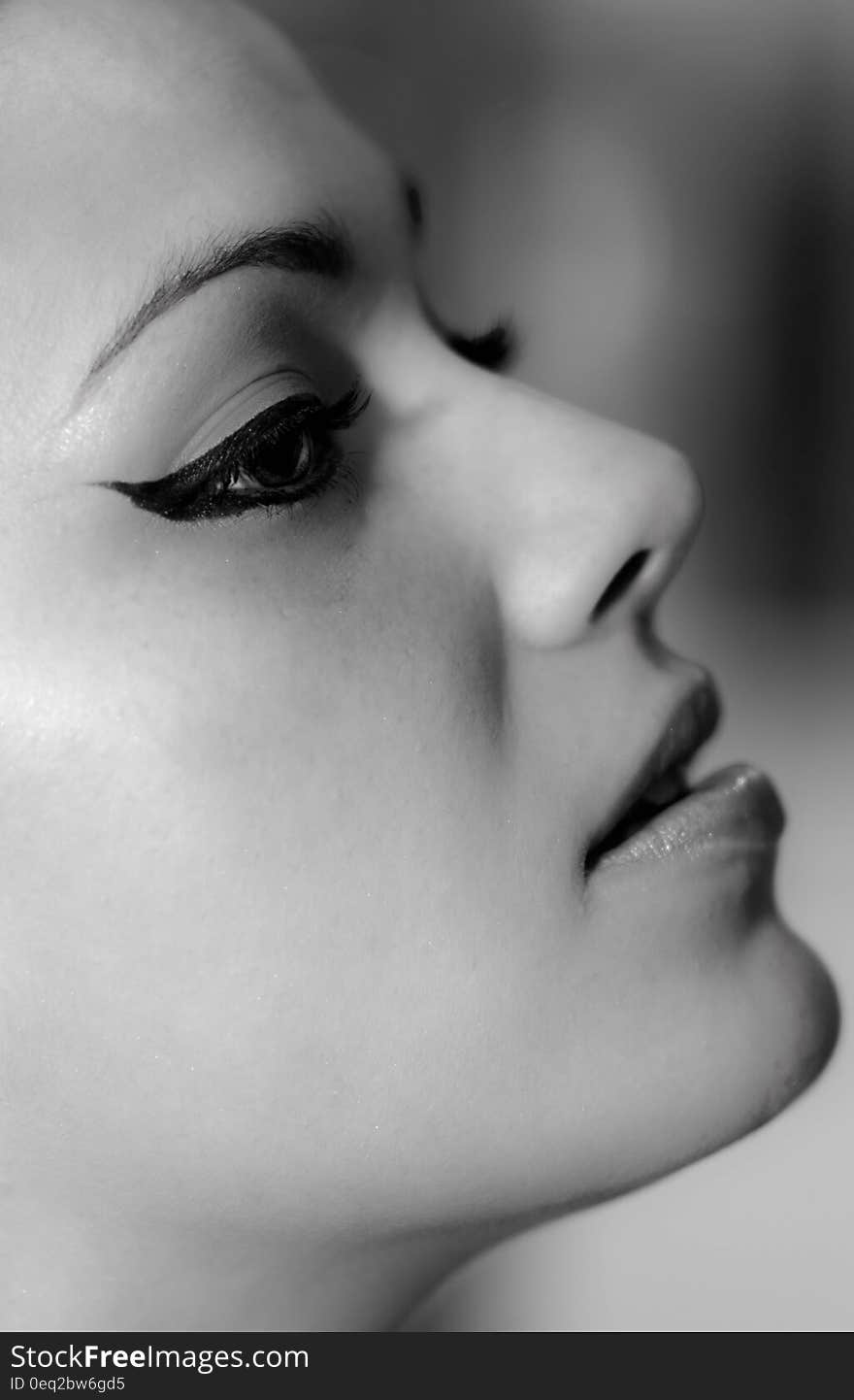 Closeup portrait of the face of a female glamour model with makeup, eye liner and lip gloss. Closeup portrait of the face of a female glamour model with makeup, eye liner and lip gloss.