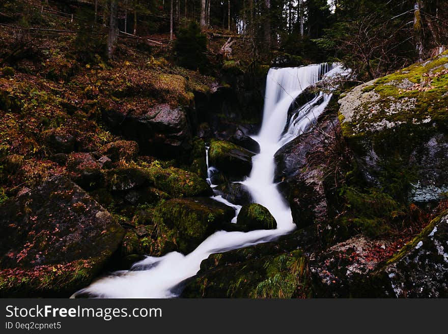 Waterfall and a creek with a few riffles in a forest. Waterfall and a creek with a few riffles in a forest.