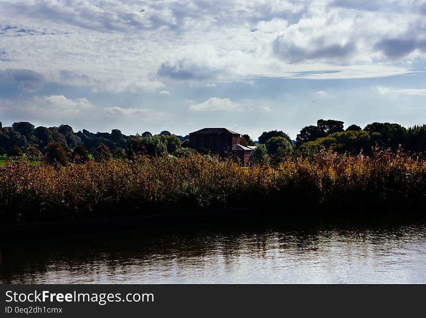 A grassy river bank in a rural region. A grassy river bank in a rural region.