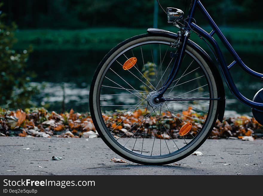 Black and Blue Cruiser Bike