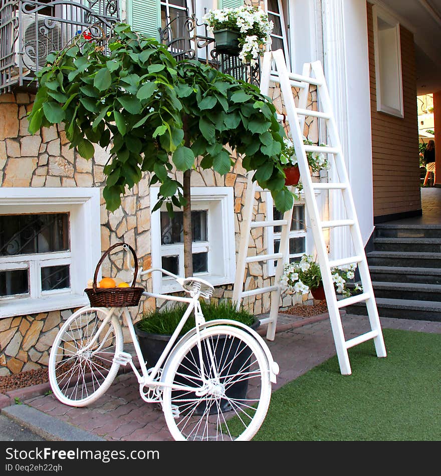 White Step Through Bicycle Leaning Beside Tree Plant