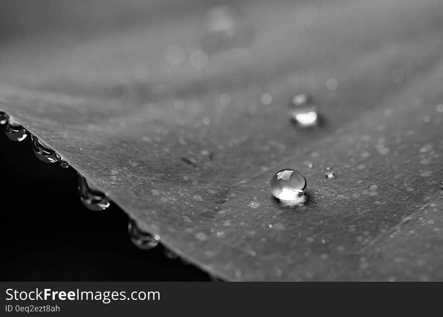 Grayscale Photography of Water Droplets