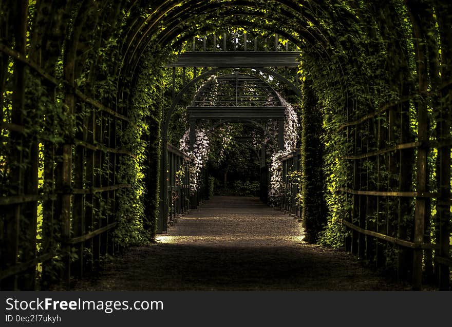 A view inside the Prinsentuin garden in Groningen, Netherlands.