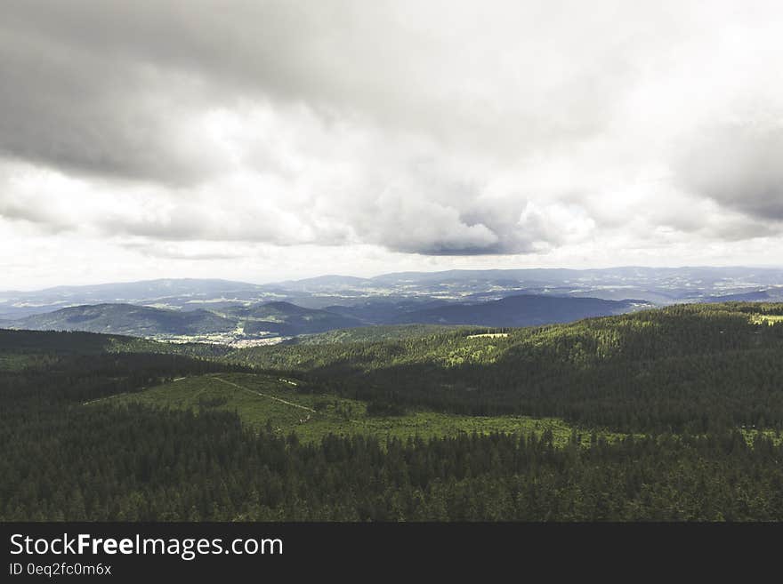 Green Trees on Mountain