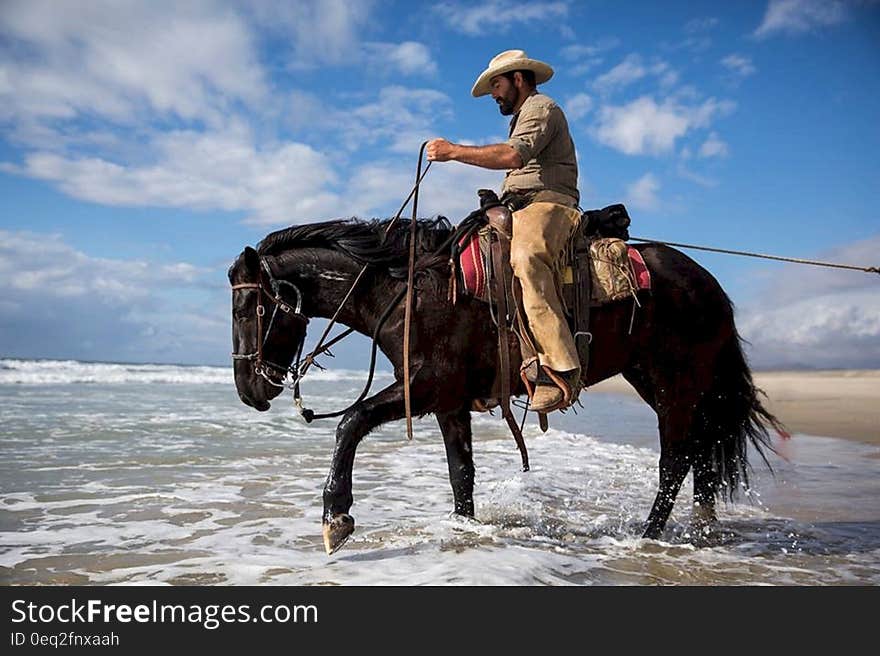 A man riding a horse wading in water. A man riding a horse wading in water.