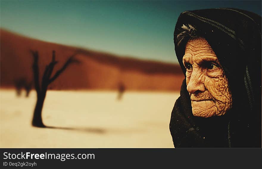 Woman Wearing Black Hijab Behind Bare Tree during Day Time