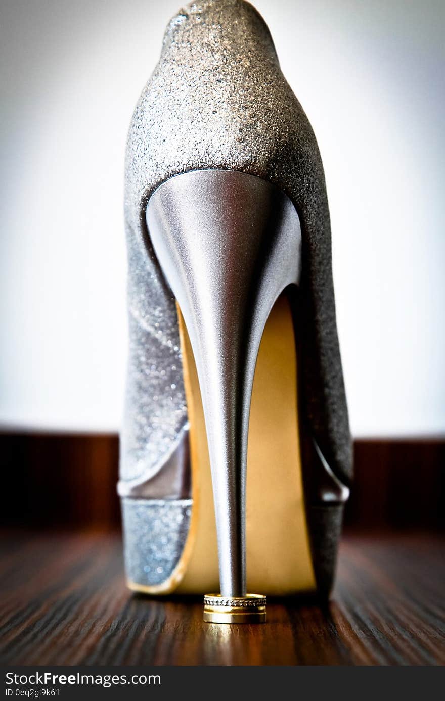 Women&#x27;s Silver Stiletto