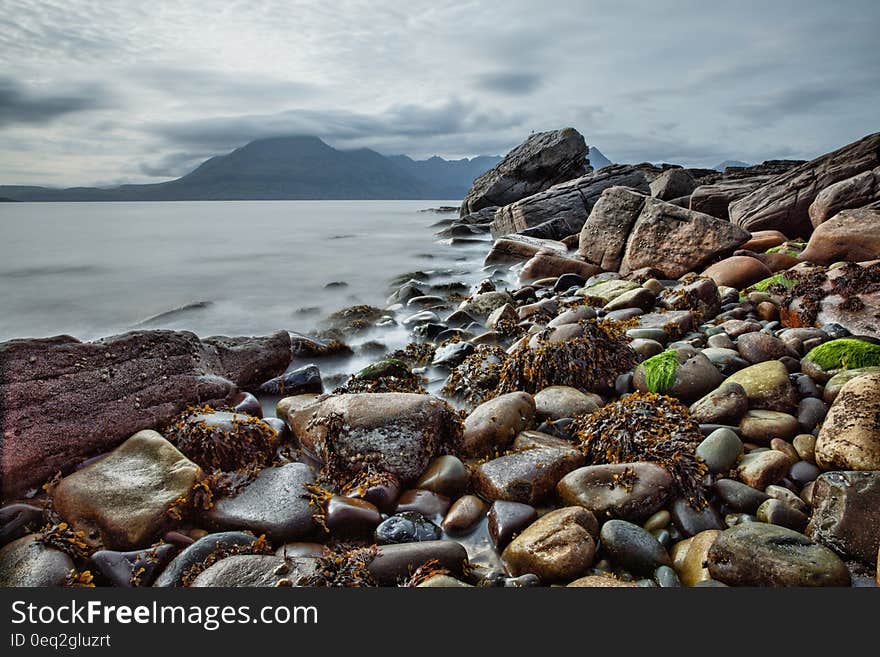 Brown Black and Gray Rocks Near the Shore