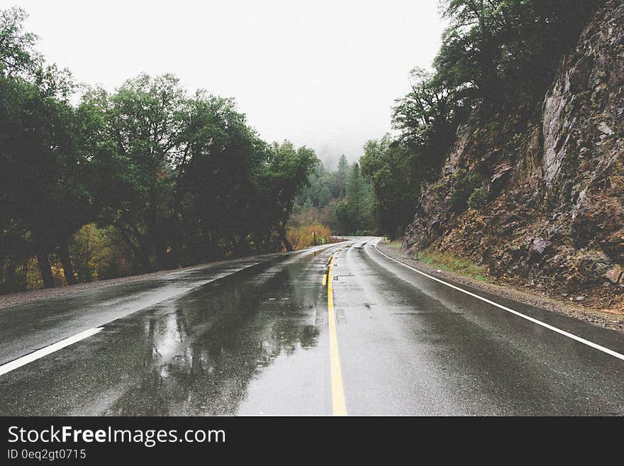 A wet road passing through the forest.