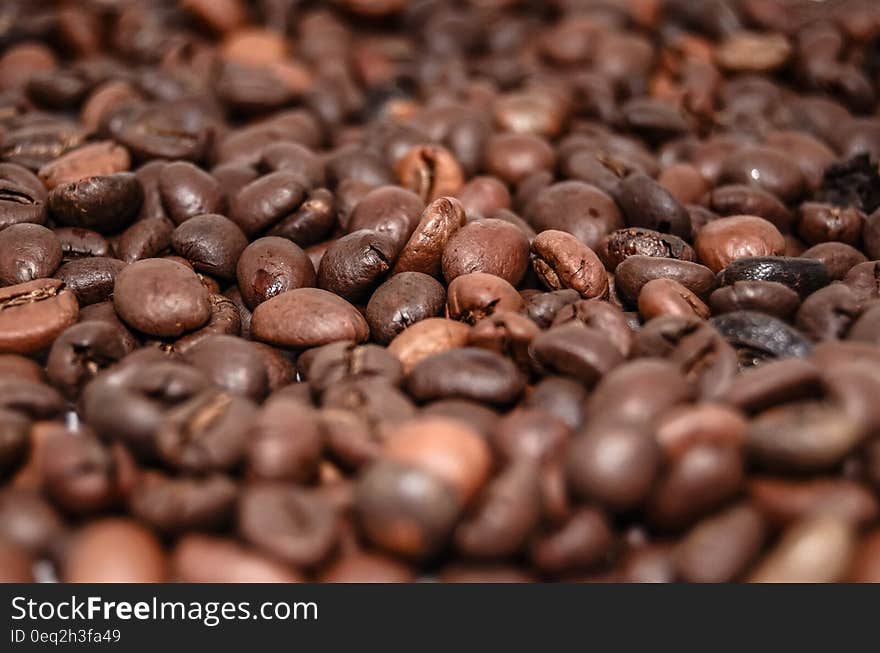 Coffee Beans