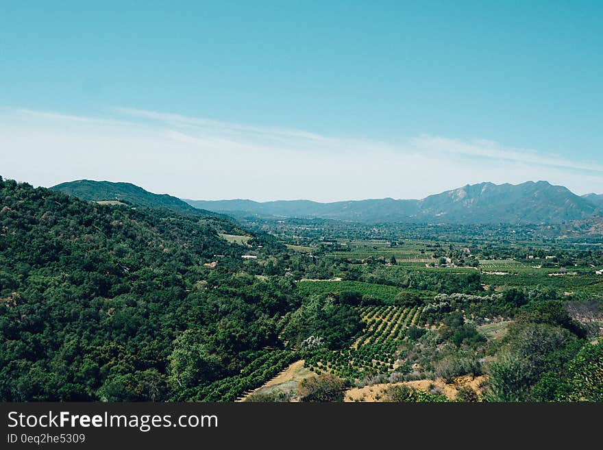 Scenic countryside landscape with vineyard in foreground. Scenic countryside landscape with vineyard in foreground.