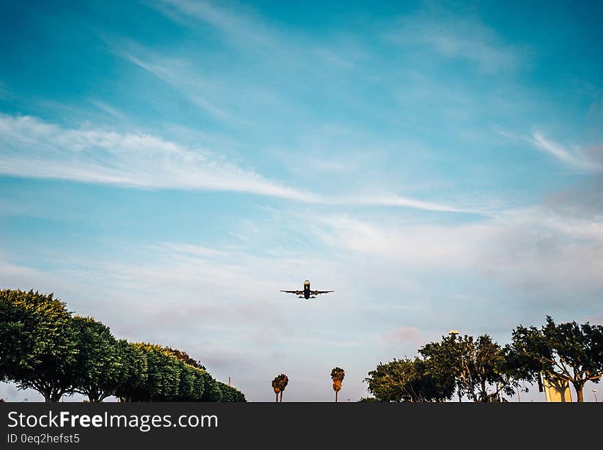 Airplane in flight descending to land with rows of trees in foreground.