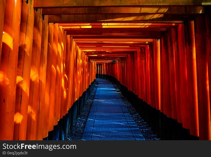 Blue and Orange Wooden Pathway