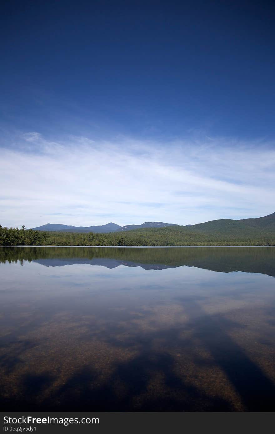 Tranquil lake with yellow weeds growing in the water and dark forested distant hills. Background of thin white cloud and blue sky. Tranquil lake with yellow weeds growing in the water and dark forested distant hills. Background of thin white cloud and blue sky.