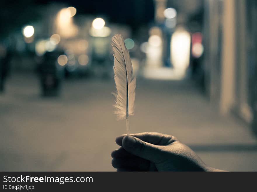 A close up of a hand holding a feather in a street. A close up of a hand holding a feather in a street.