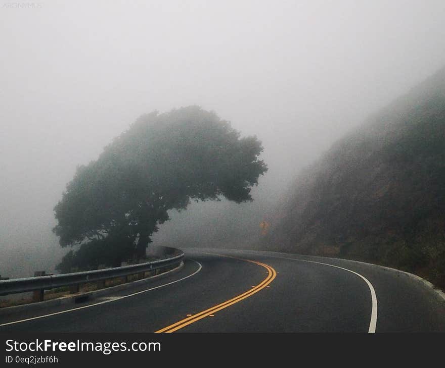 Black Asphalt Road Near Mountain and Green Leafed Tree ]