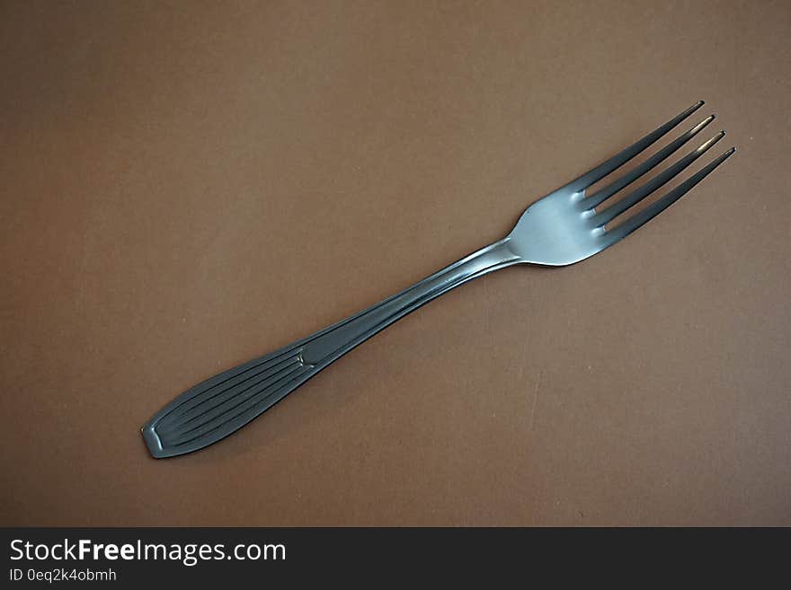 Stainless Steel Fork