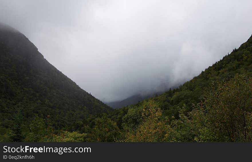 Green Trees Beside Mountains With Fogs during Daytime