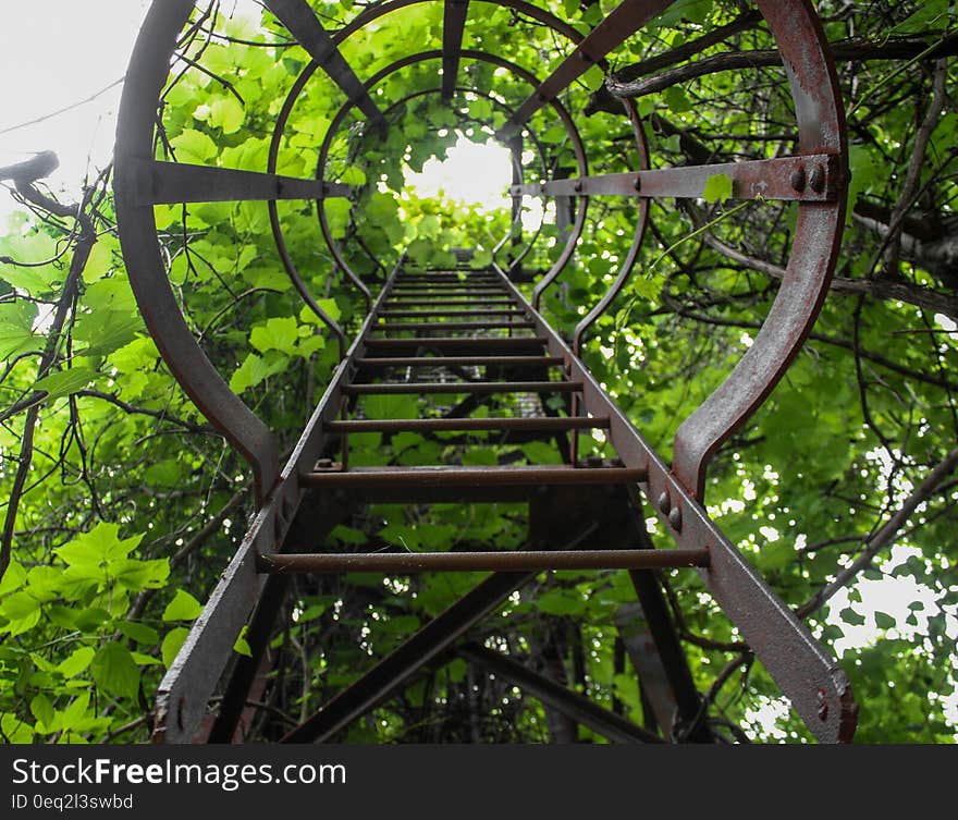 Brown Metal Steep Ladder