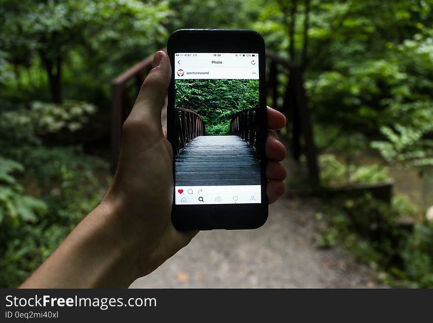 Person Holding Smartphone Taking Picture of Bridge during Daytime