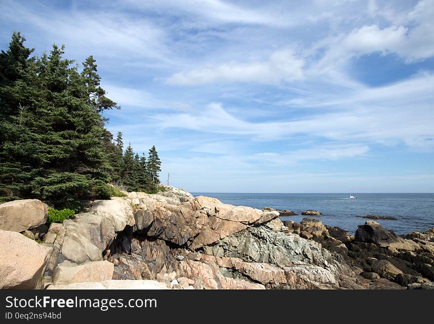 Green Trees Near Brown Cliff and With Overview of the Sea