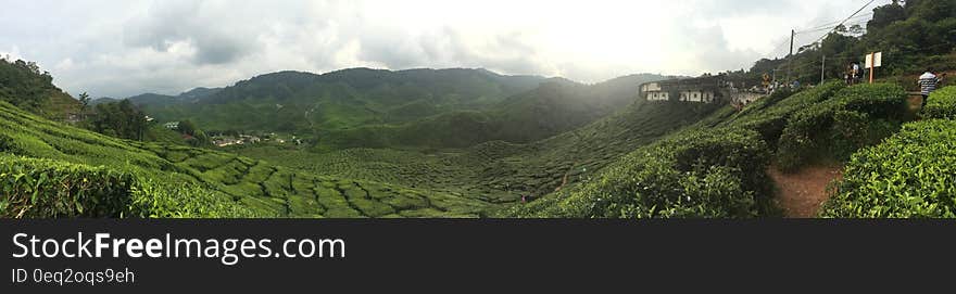 Panoramic Photography of Green Mountain Range