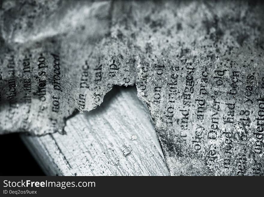 A torn page of a book or a newspaper.