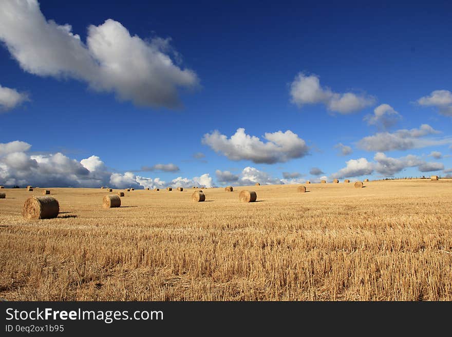 Hays on Grass Field Under Blue Sky and White Clouds during Daytime