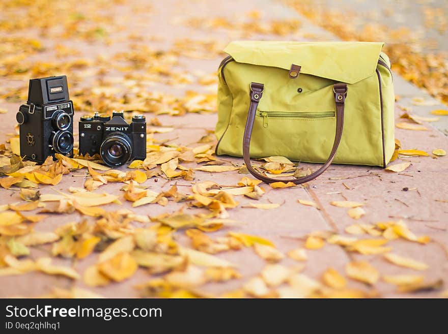 Two retro camera and a vintage bag. Two retro camera and a vintage bag.