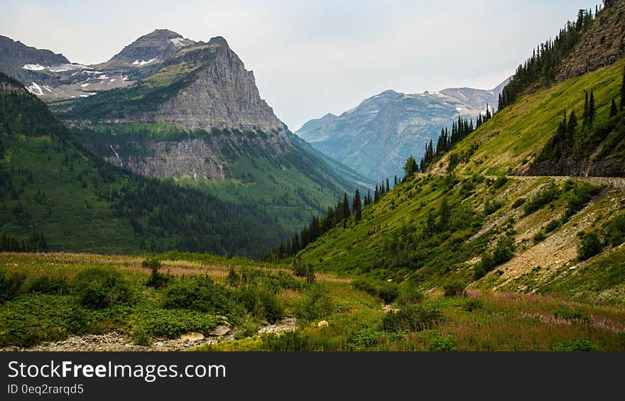 Green and Gray Mountain