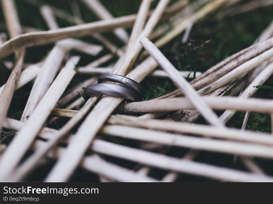 Wedding rings on bamboo.