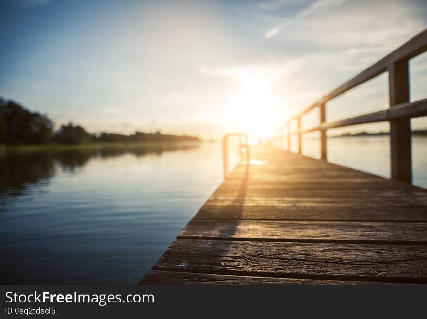 Low Angle Photography of Brown Wooden Dock at Golden House