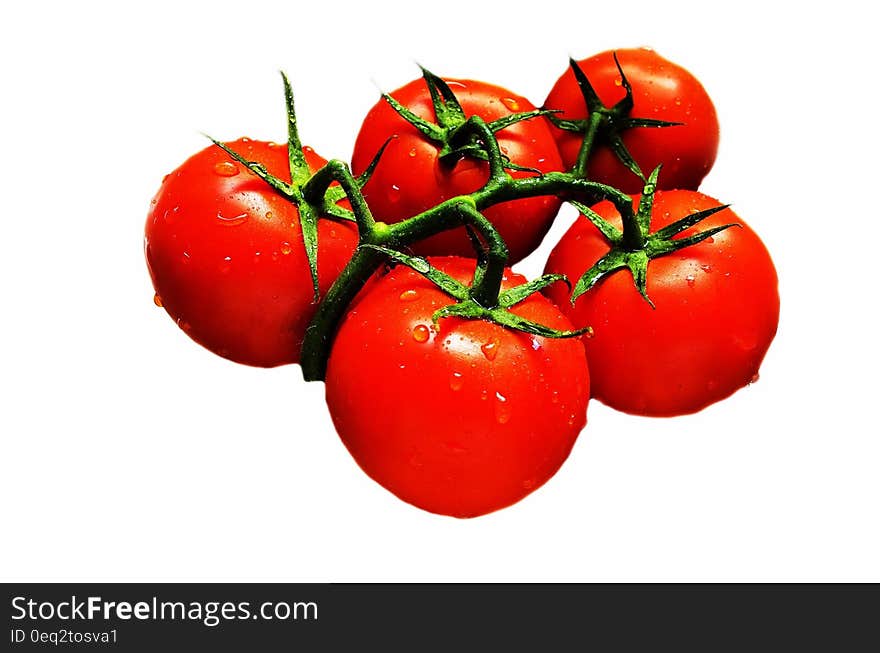 Red Green Tomato Fruit