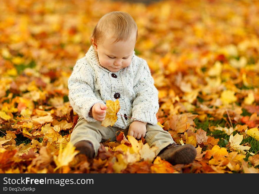 Display Autumn Fall Baby Boy Child