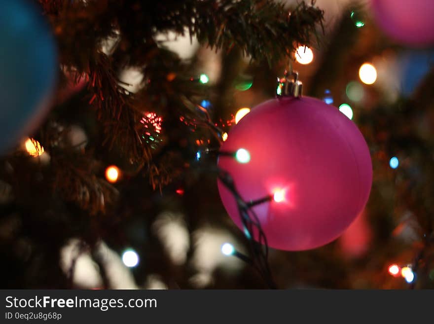 Close-up of Christmas Tree at Night