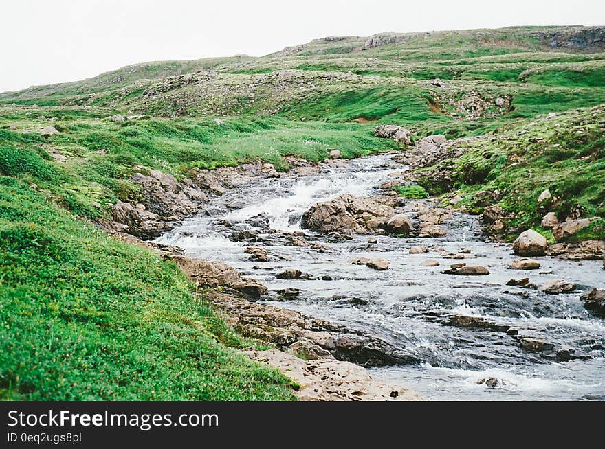 Creek stream in natural setting