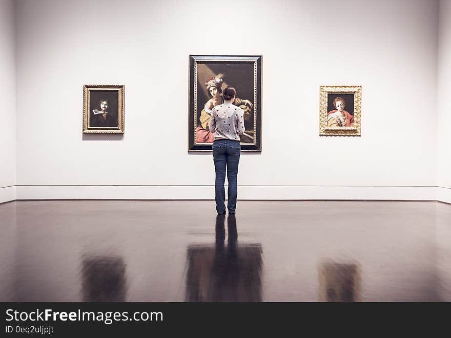 Rear view of young woman looking at paintings during art exhibition preview. Rear view of young woman looking at paintings during art exhibition preview.