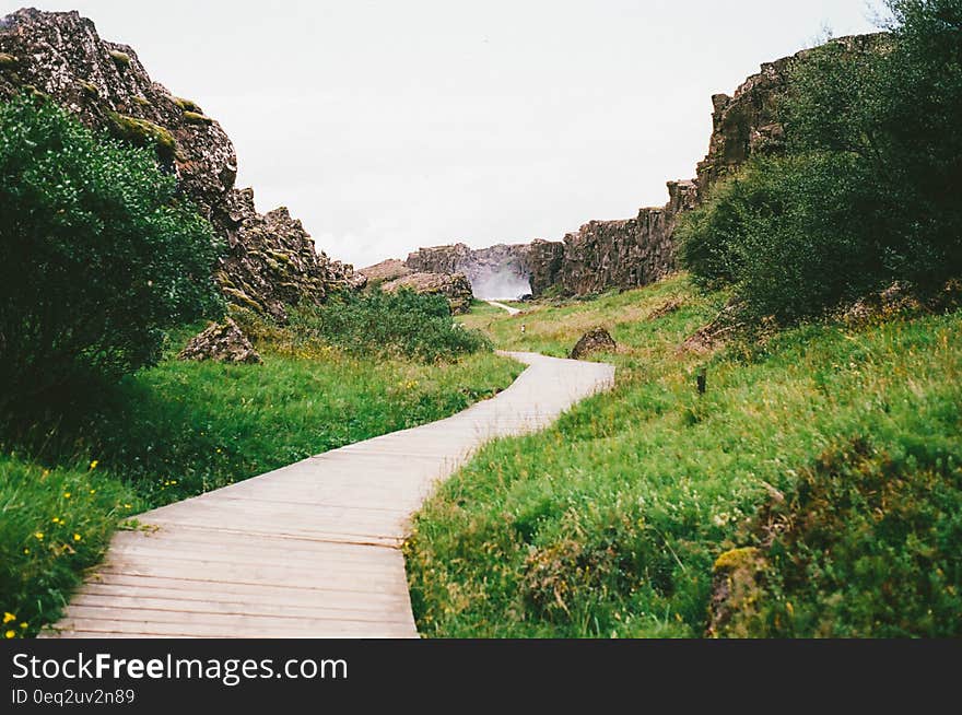 Hiking pathway in the nature