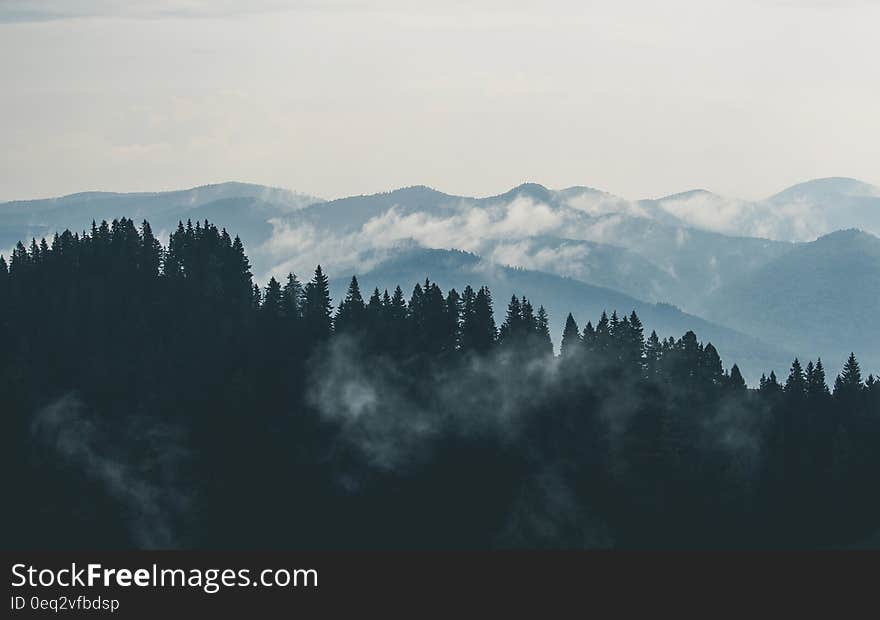 View from above with mountains top and forest. View from above with mountains top and forest.