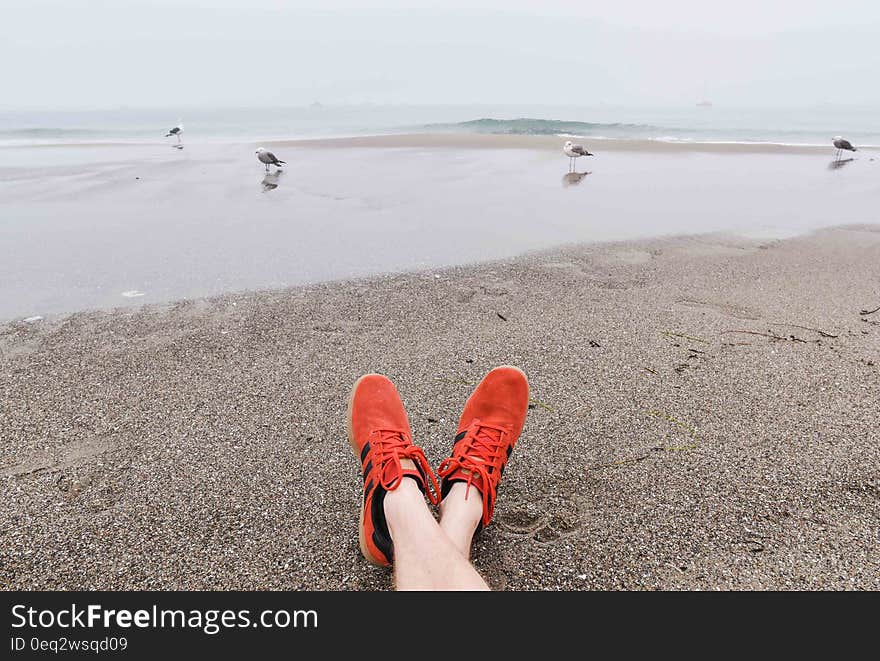 Person relaxing on the beach watching seagulls