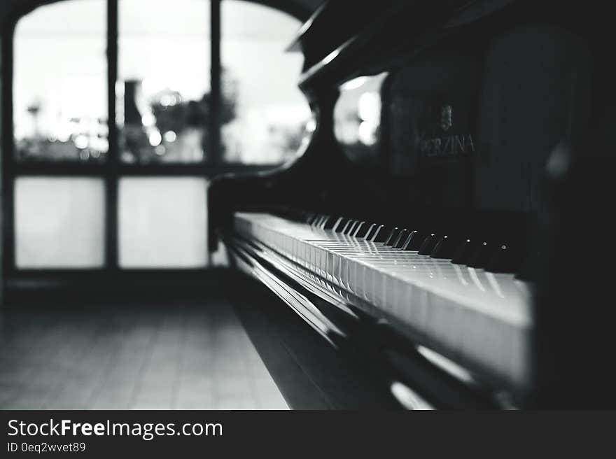 Black Grand Piano Gray Scale Photo