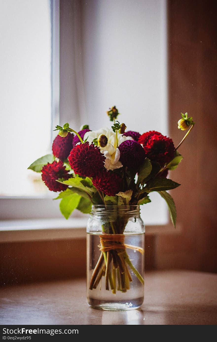 Red Petal Flower on Clear Glass Vase