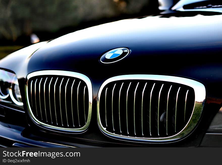 Chrome Bmw Grille