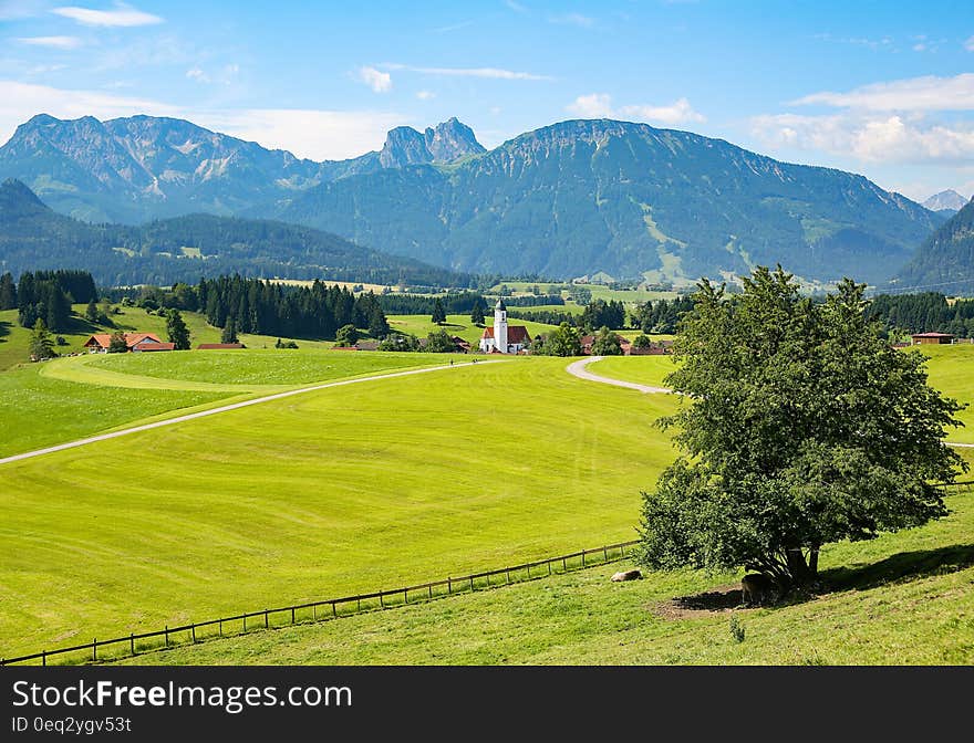 Green Trees on Green Fields